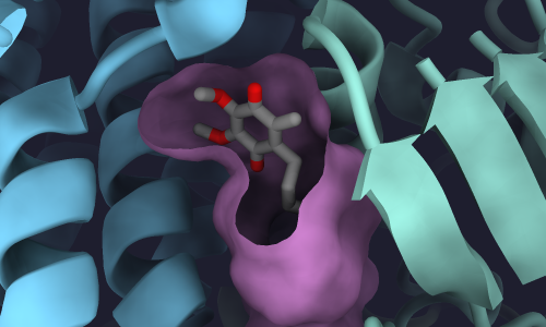 How to visualise protein cavity surfaces in ChimeraX | James Lingford