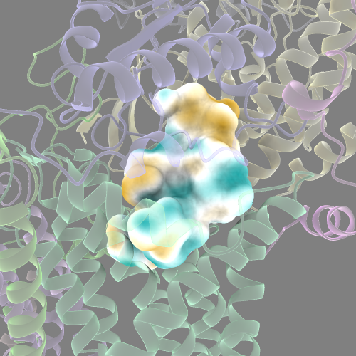 lipophilic